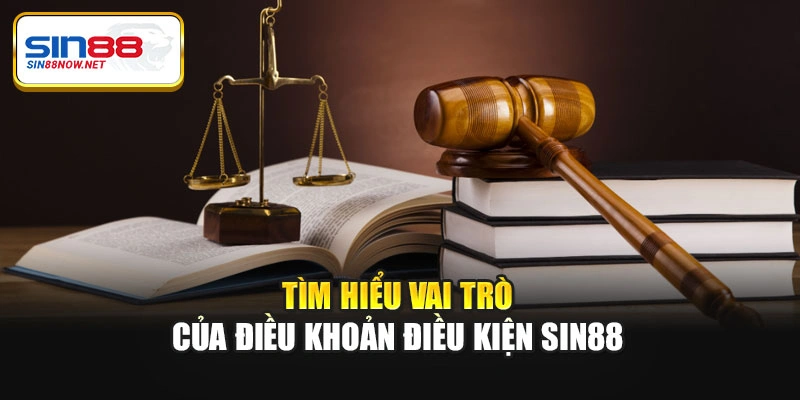 Tìm hiểu vai trò của điều khoản điều kiện Sin88